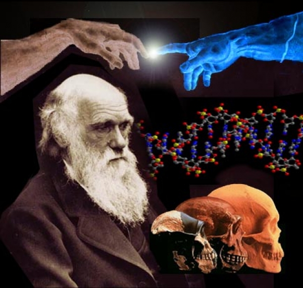 Essay About Health Creationism Vs Evolution Essay Yahoo Law Assignment Help Melbourne also Essays For High School Students Doing A Report On Creation Vs Evolution Answers In Genesis High School Entrance Essay Samples